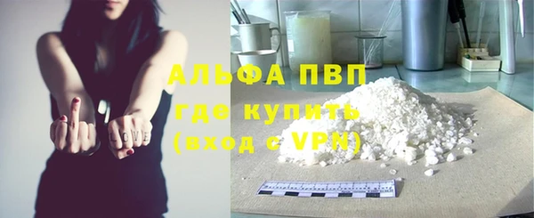 ПСИЛОЦИБИНОВЫЕ ГРИБЫ Богданович
