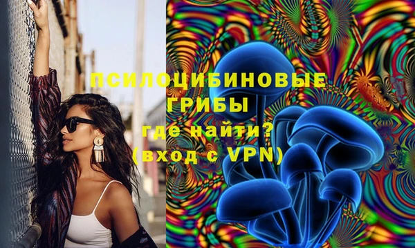 ПСИЛОЦИБИНОВЫЕ ГРИБЫ Богородицк