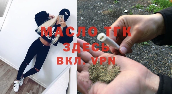 ПСИЛОЦИБИНОВЫЕ ГРИБЫ Богданович