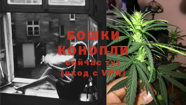 MESCALINE Аркадак