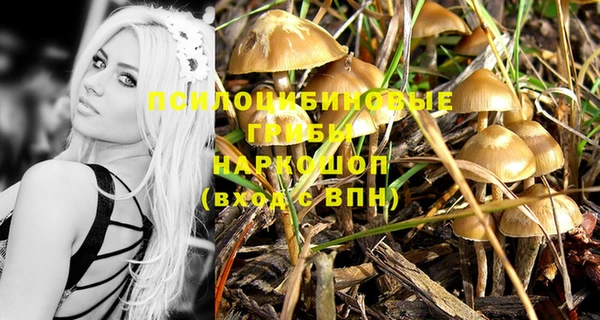 ПСИЛОЦИБИНОВЫЕ ГРИБЫ Богородицк