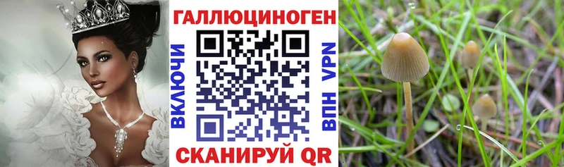 Псилоцибиновые грибы ЛСД  Пересвет 